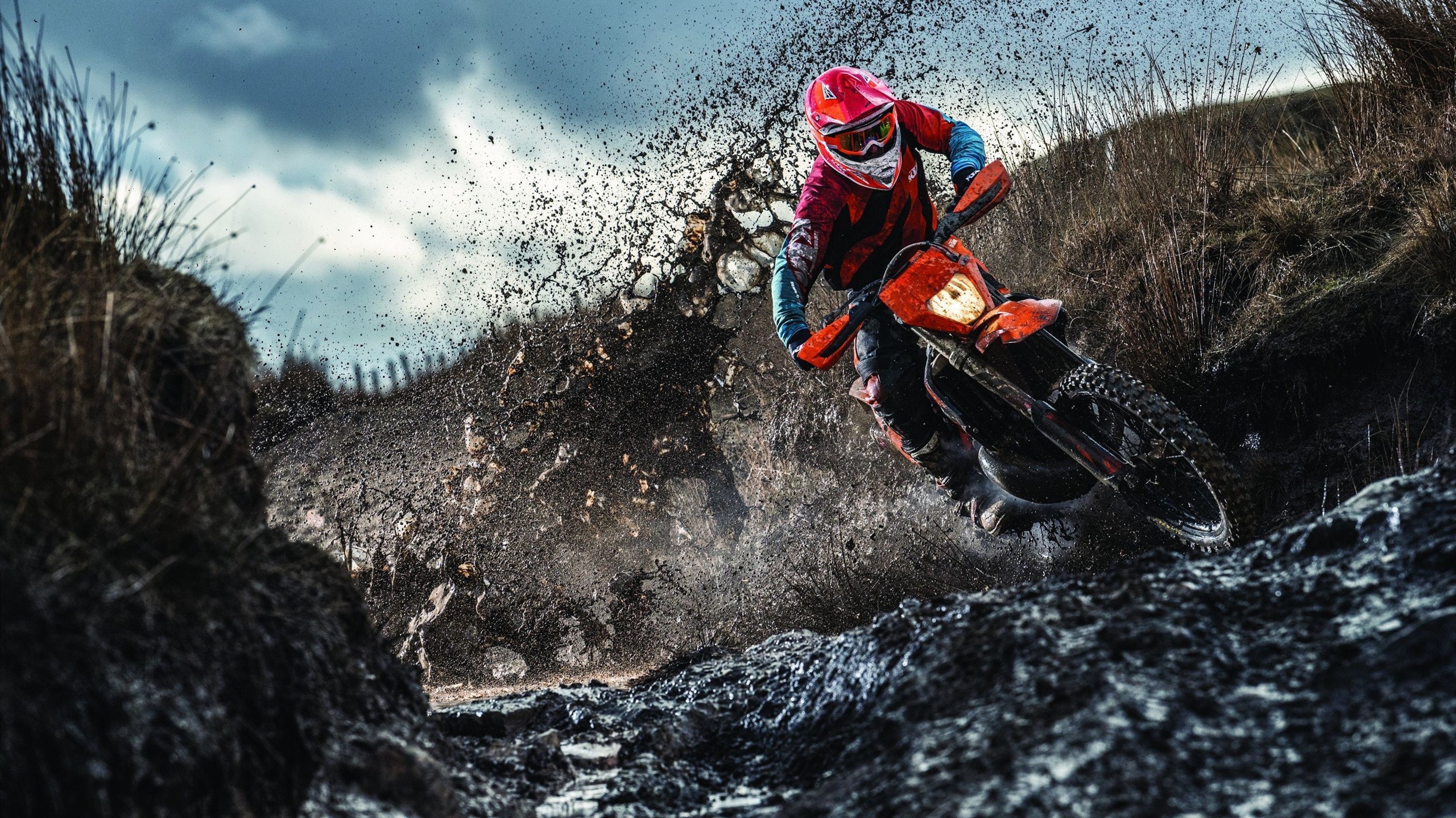 开云体育备用链接-“南非羚羊队的防线铁卫：霍斯特的完美表现”